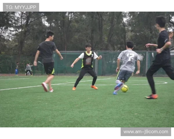 零基础学定格足球全流程图解一步步掌握动作技巧轻松提升球技